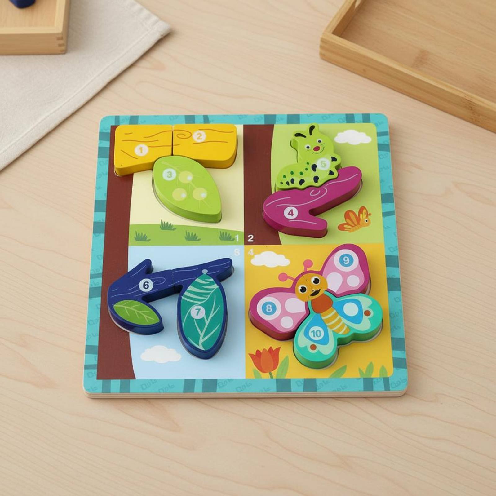 성장 보드 게임 보드 인지 발달 생물 성장 보드 게임  - Board Game Nature 리뷰 및 가격
